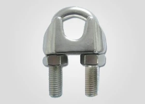 Din1142 Colliers de serrage en acier inoxydable